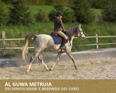 Al Guwa Metruia